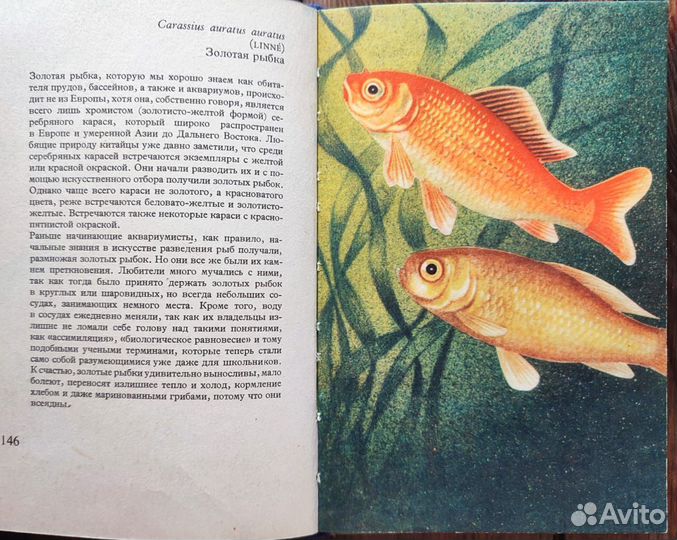 Книга аквариумные рыбы