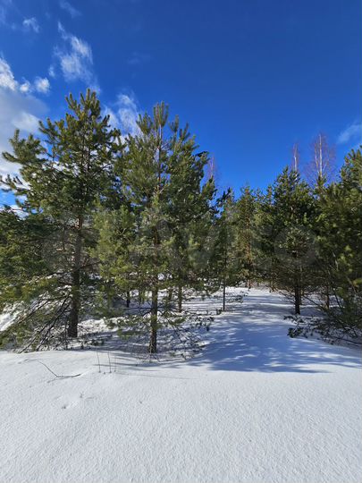 Участок 10 сот. (СНТ, ДНП)