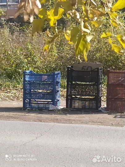 Ящики фруктовые, пластиковые