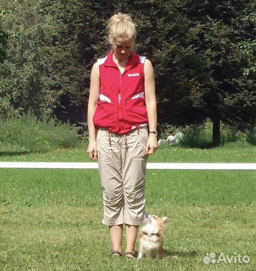 Дрессировка и воспитание собак