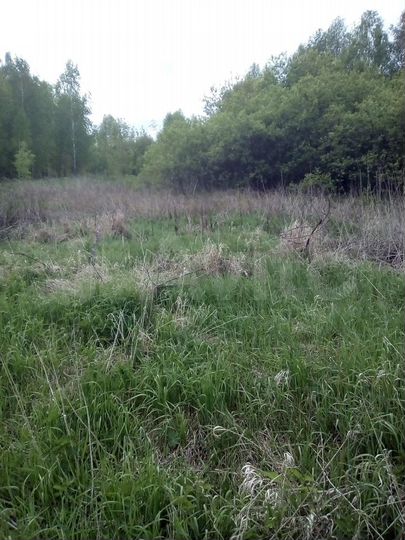 Участок 15,5 сот. (ИЖС)