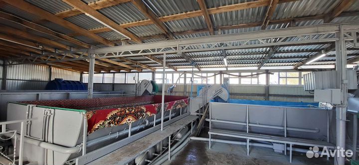 Мойка овощной продукции