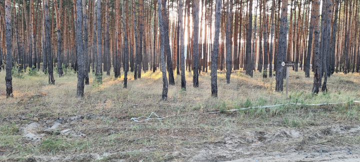 Участок 35 сот. (ИЖС)