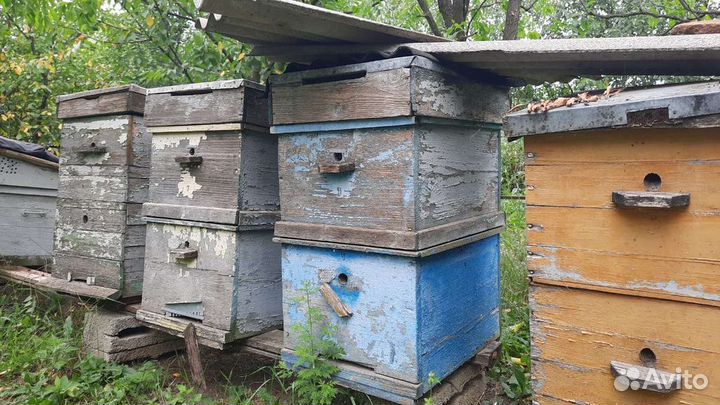 Улей для пчел бу