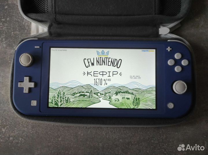 Nintendo switch lite прошитая
