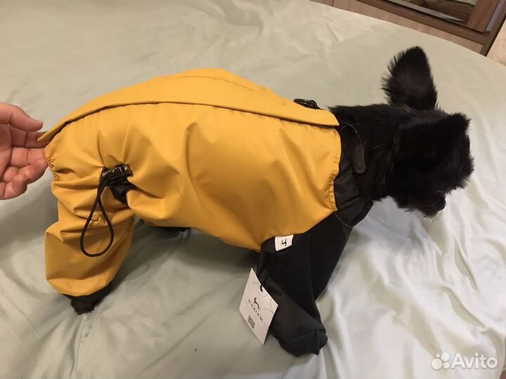 Дождевик для маленькой собаки куртка