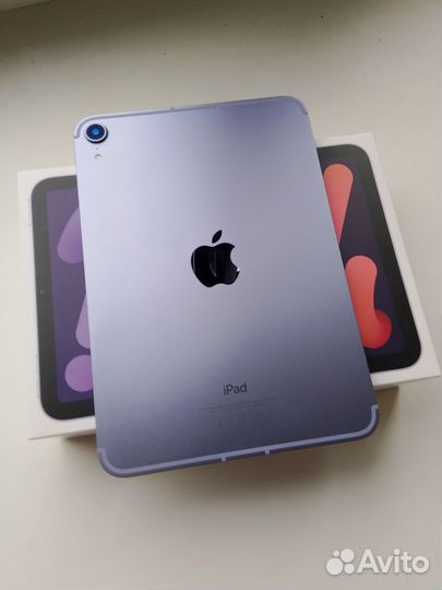 iPad mini 6 256gb cellular