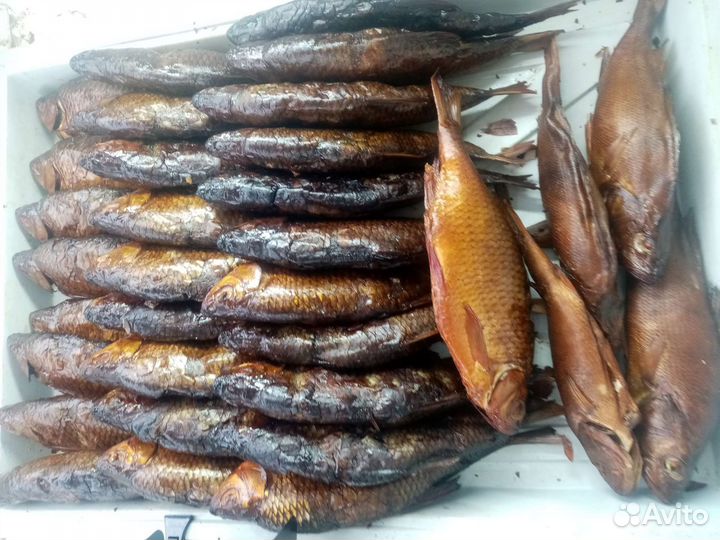 Рыба горячего копчения