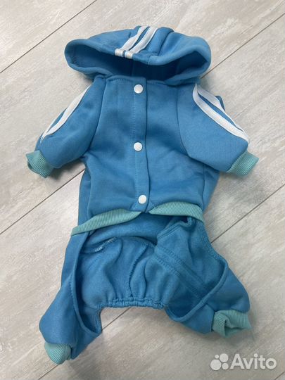 Костюм для собаки