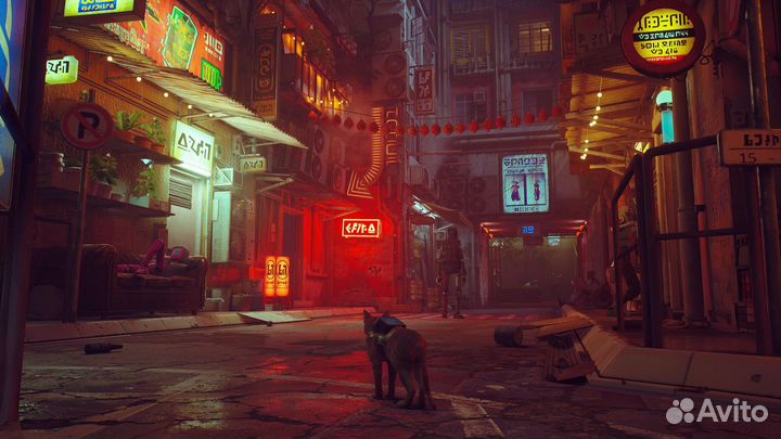 Stray Ps4/5. Подписки Ps plus (Ps4/5), игры, допы
