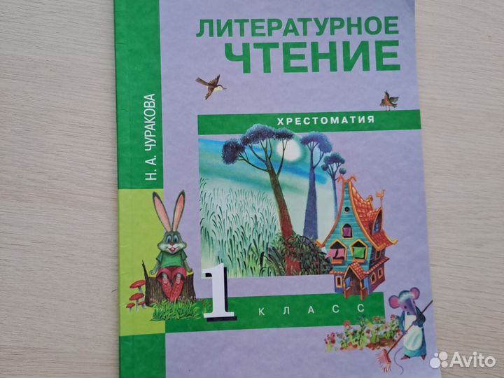 Окружающий мир 1 класс