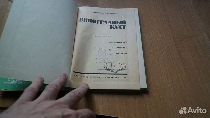 2616,8 Виноградный куст. 1972 г. Авт. Захарова. М