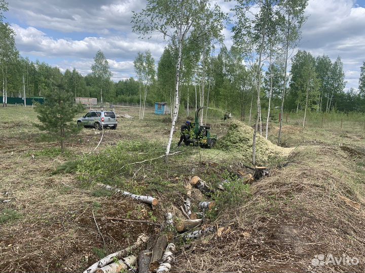 Расчистка участка. Спил деревьев, кустарников