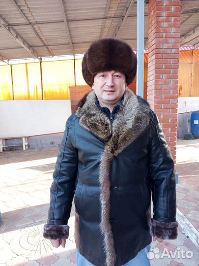 Ветеринария