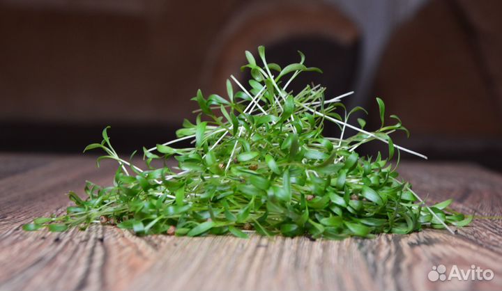 Микрозелень