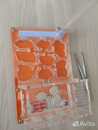 Муравьиная ферма без муравьев