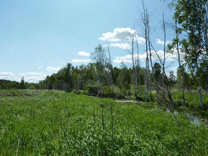 Участок 6,5 га (СНТ, ДНП)