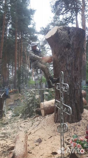 Удаление деревьев