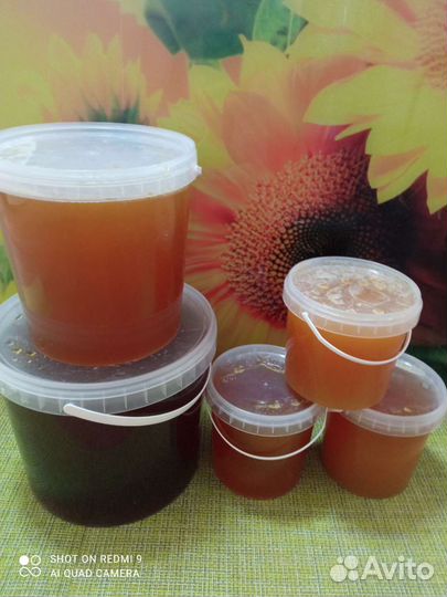 Мëд Алтайский