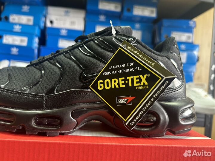 Кроссовки Nike Air Max Tn plus Gore-Tex