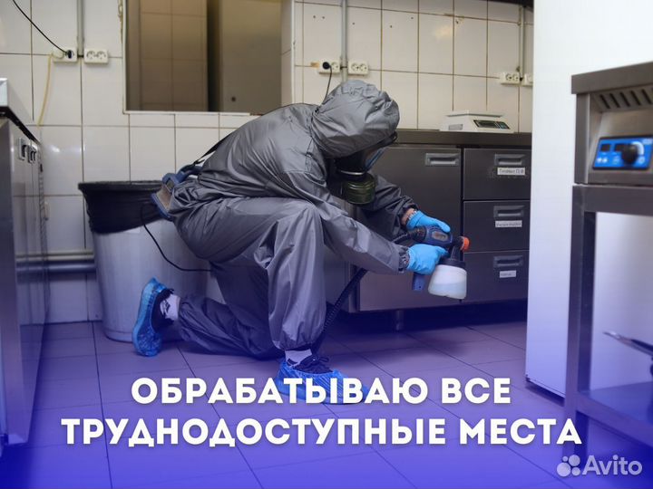 Дезинсекция дома и квартиры от тараканов и клопов