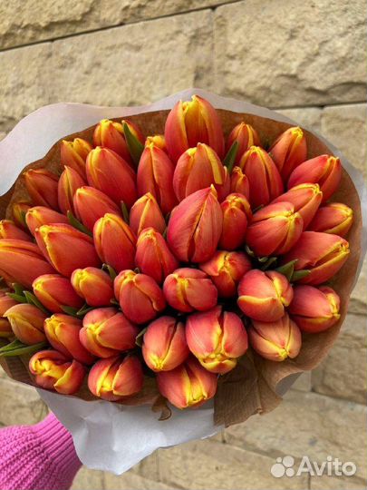 Цветы тюльпаны