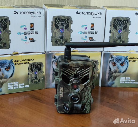 Фотоловушка Филин 800 email/MMS в Иркутске, дилер