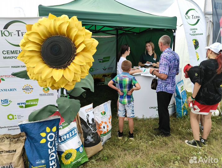 Семена подсолнечника Гепард (Евролайтинг)