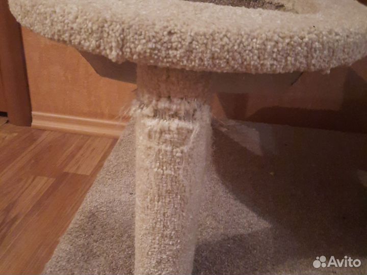 Когтеточка домик для кошки бу