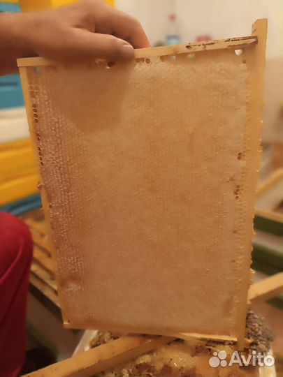 Горный мед от производителя