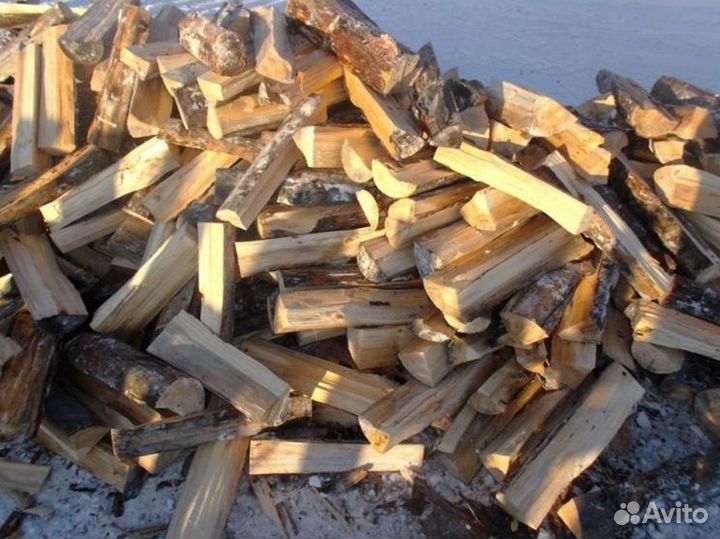 Дрова береза