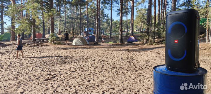 Аренда колонок JBL PartyBox 310