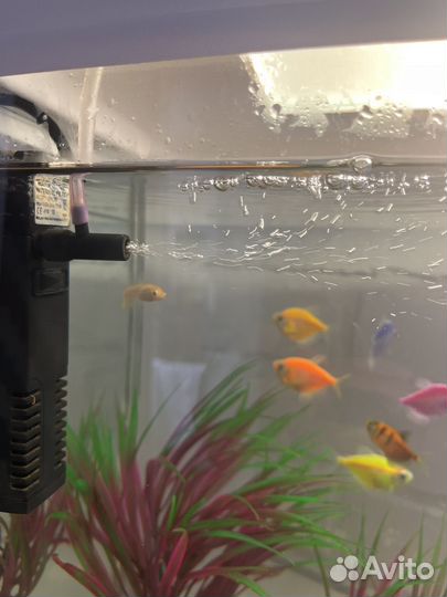 Аквариум с рыбками бу