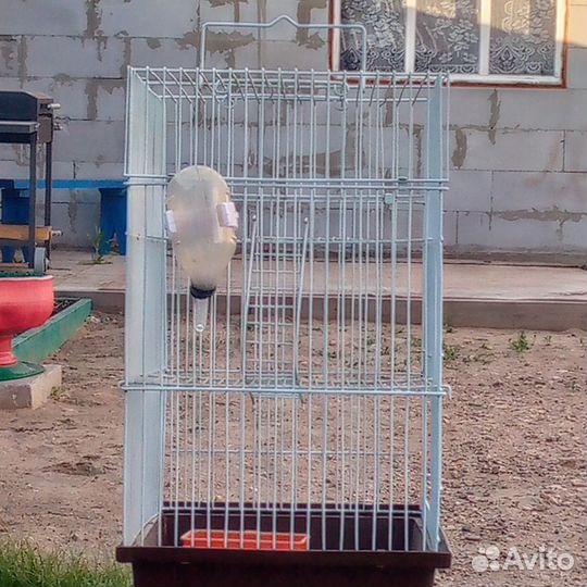 Клетка для хомяков и крыс сстаяние хорошее