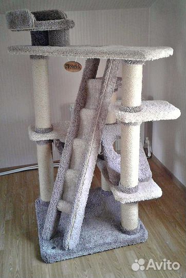 Когтеточка-комплекс