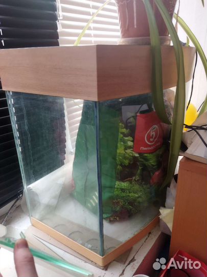 Аквариум 60л