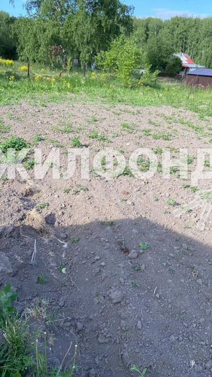 Участок 12 сот. (СНТ, ДНП)