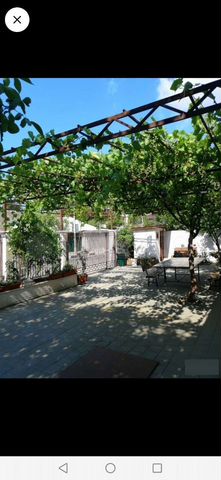 Комната 12 м² в 1-к., 1/1 эт.