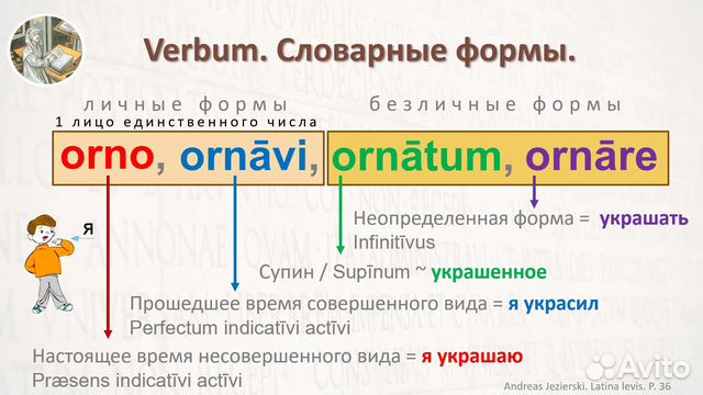 Латинский язык: преподаватель, репетитор