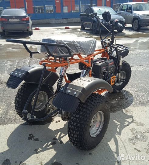 Трицикл Тритон 2, Сафари-3lе-8+