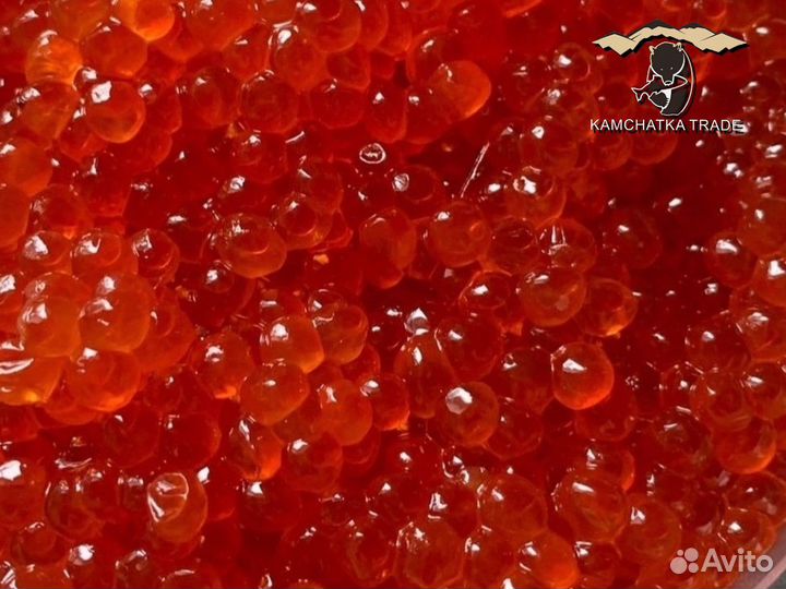 Красная икра оптом