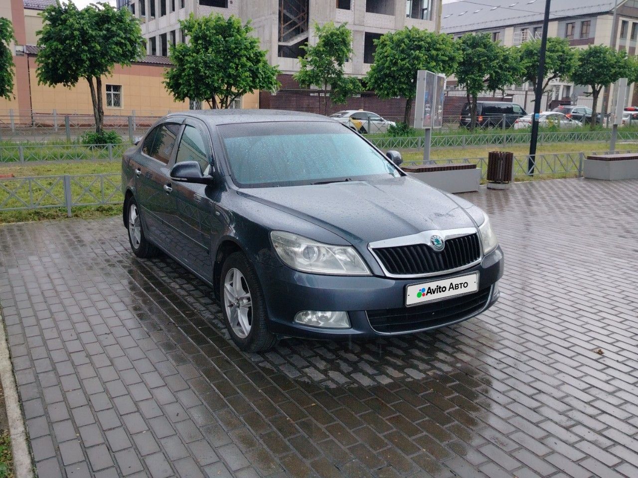 Skoda Octavia: фото владельца