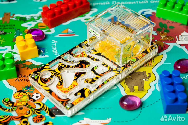 Муравьиная ферма