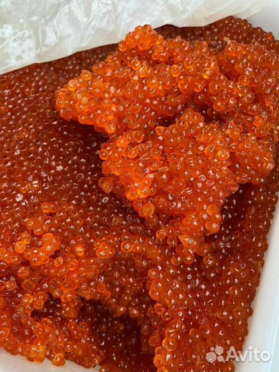 Икра красная 2023 премиум