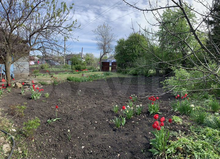 Дом 65 м² на участке 25 сот.