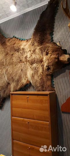 Шкура медведя (имитация)