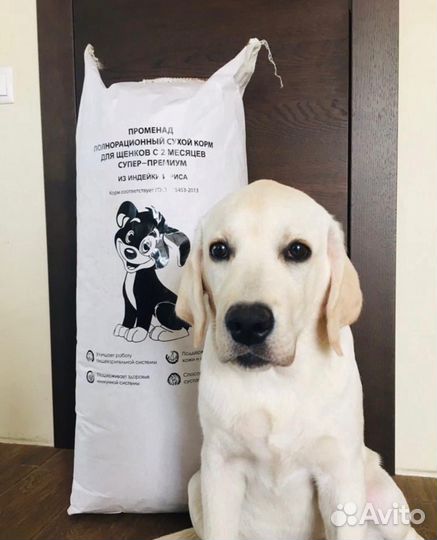 Сухой корм для собак Променад