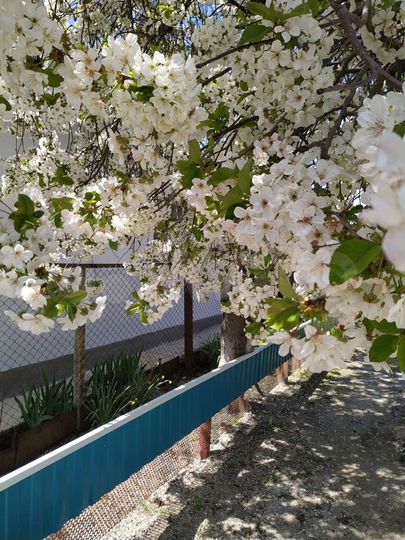 Дом 74,4 м² на участке 15 сот.