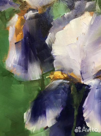 Картина ирисы маслом на холсте