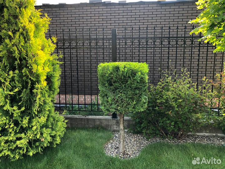 Стрижка кустов